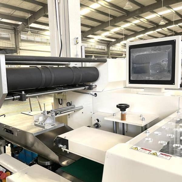 ZB520AD Double Rolls Toilet Paper Packaging Machine