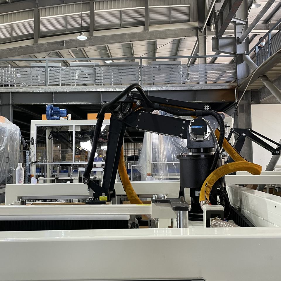 ZX660E Manipulator carton case packing machine (e-commerce)