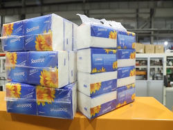 ZB680HN High speed facial tissue bundle packing machine