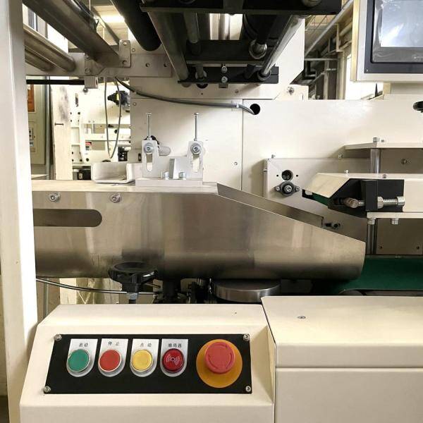 ZB520AD Double Rolls Toilet Paper Packaging Machine
