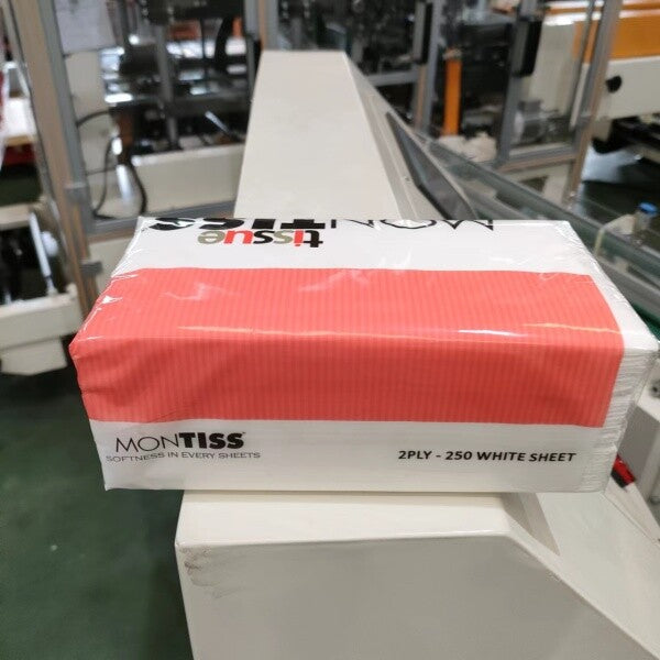 ZB300FN Automatic Napkin Paper Packing Machine