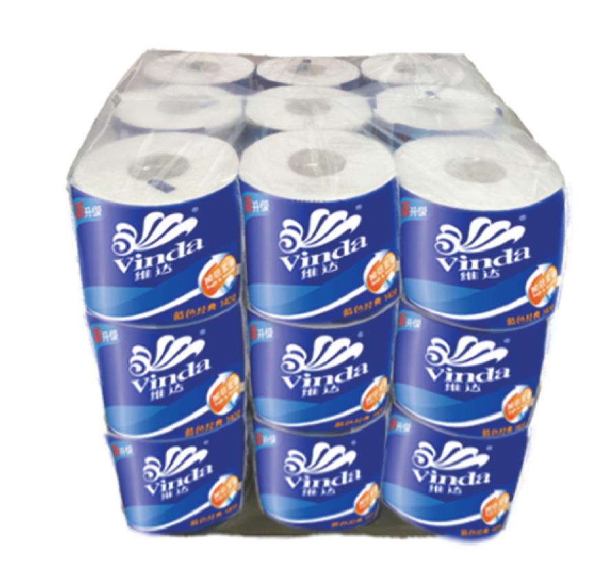 RTA1000EB Automatic Roll Tisue Bagger Machine Multiple Lanes and Multiple Layers