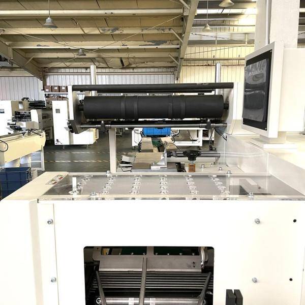 ZB520AD Double Rolls Toilet Paper Packaging Machine