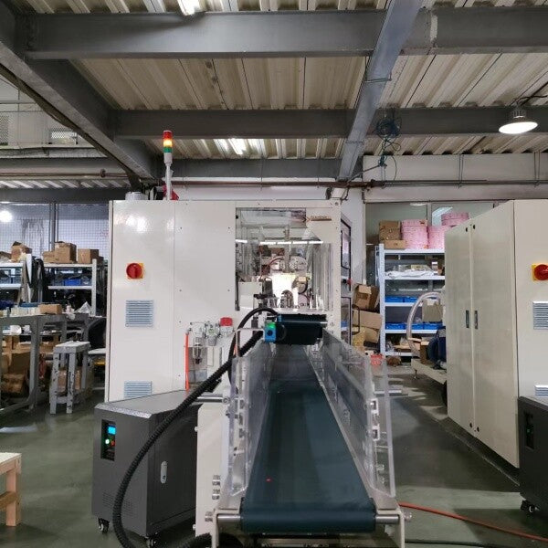 ZB800W Sanitary Napkin/Pad Packing Machine