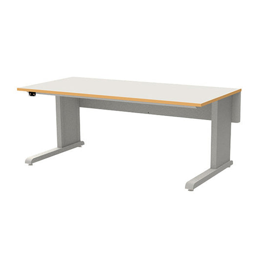 Esd Standard Desk